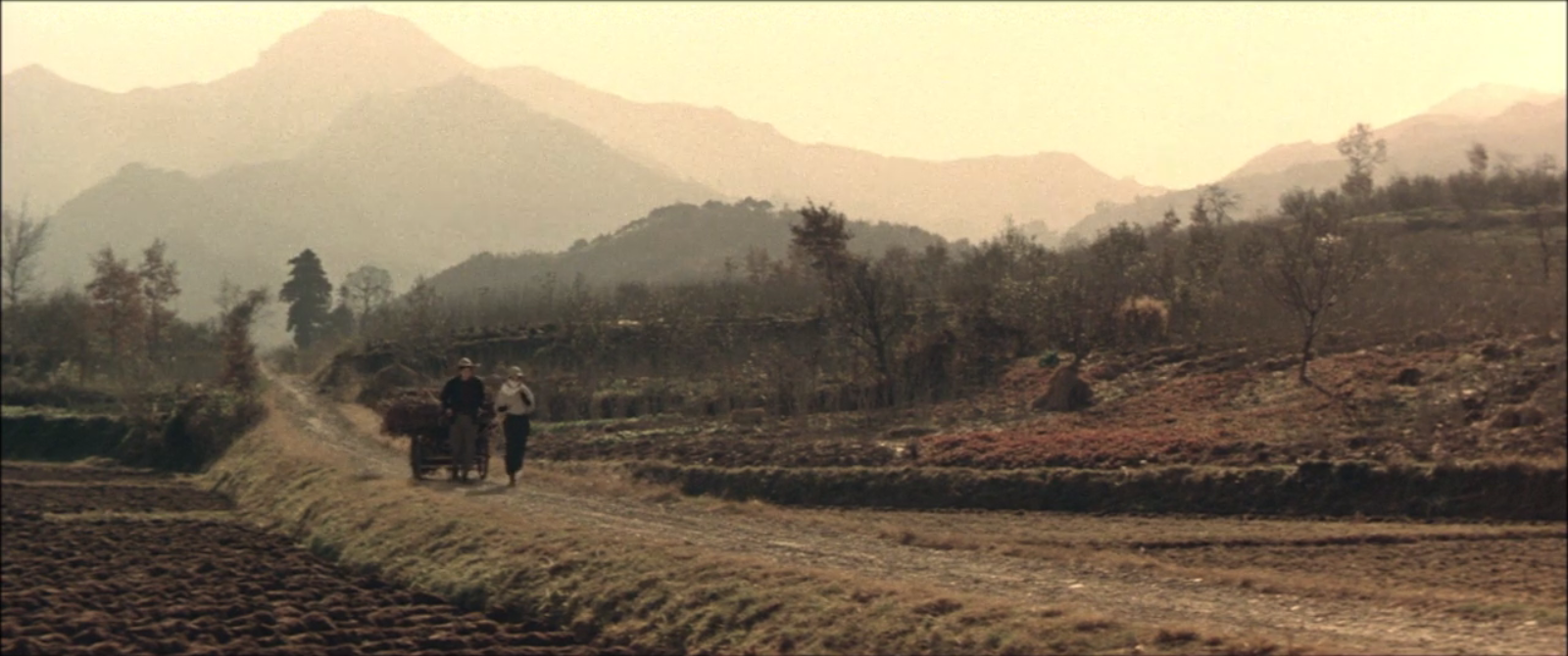 Postwar Kurosawa: The Quiet Duel
