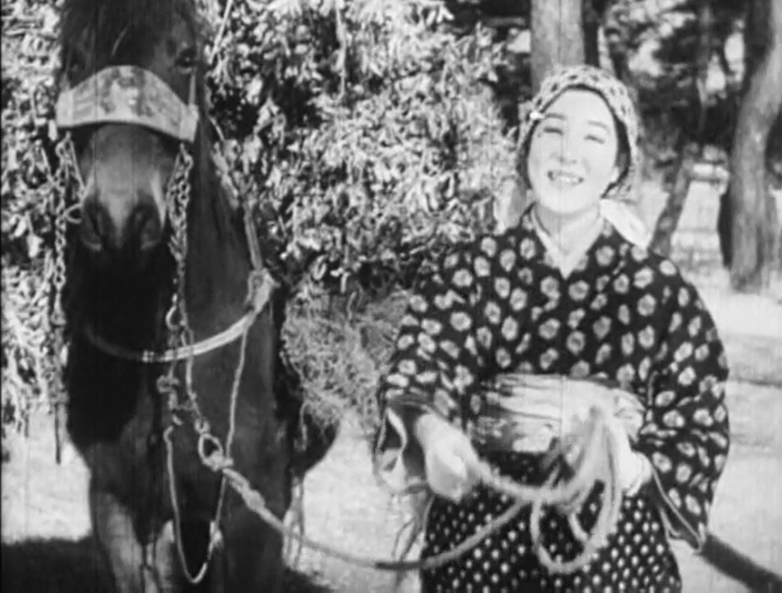 Song of the Flower Basket (1937)